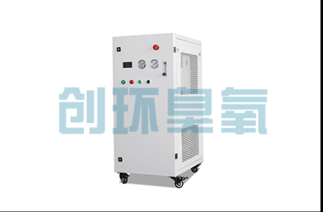 海口工厂化养鲈必看：2026年臭氧发生器替代传统消毒的最新方案