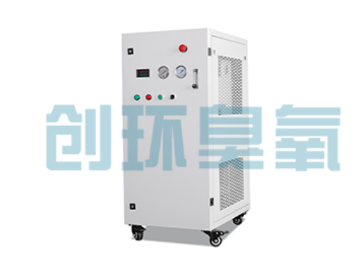 海口石斑鱼养殖水质调控完整指南：臭氧发生器配置与操作步骤