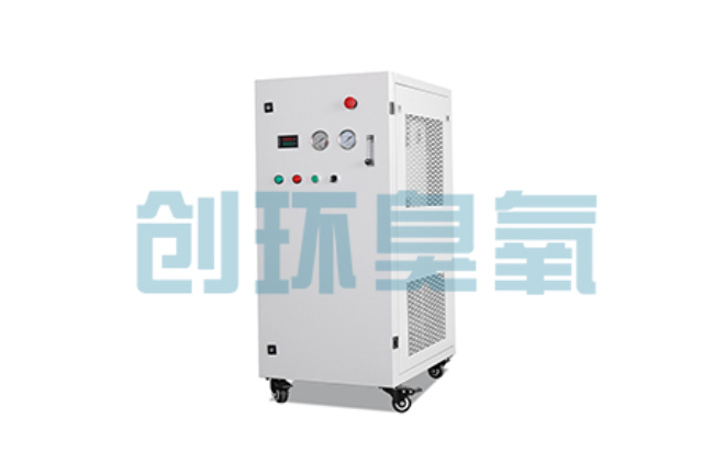 海口比传统换水更高效？臭氧发生器在石斑鱼养殖中的水质净化原理解析